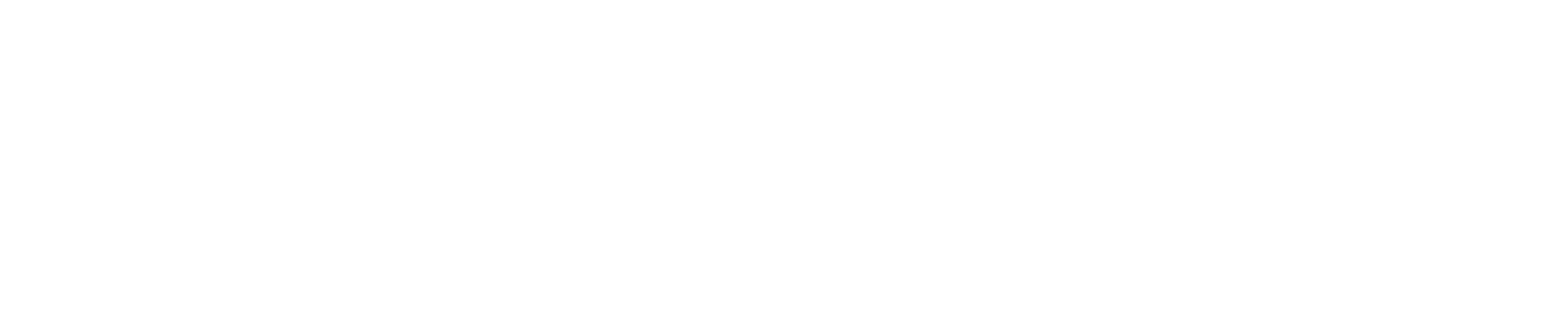 Logo X-ONE Branco